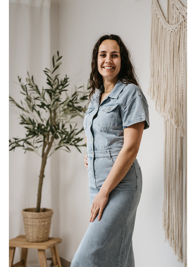 Vero Denim Dress