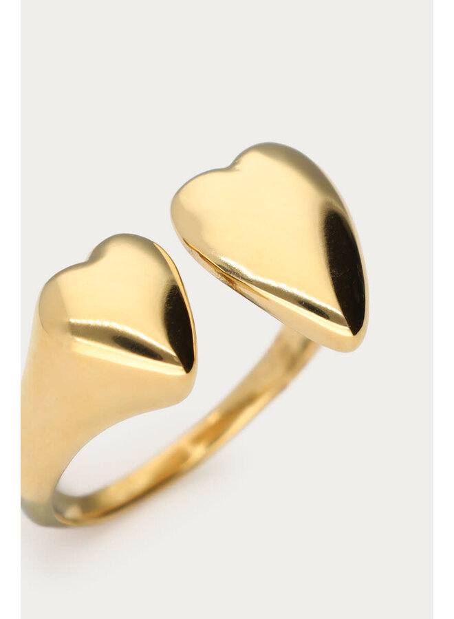 Bold Ring met Twee Hartjes Goud