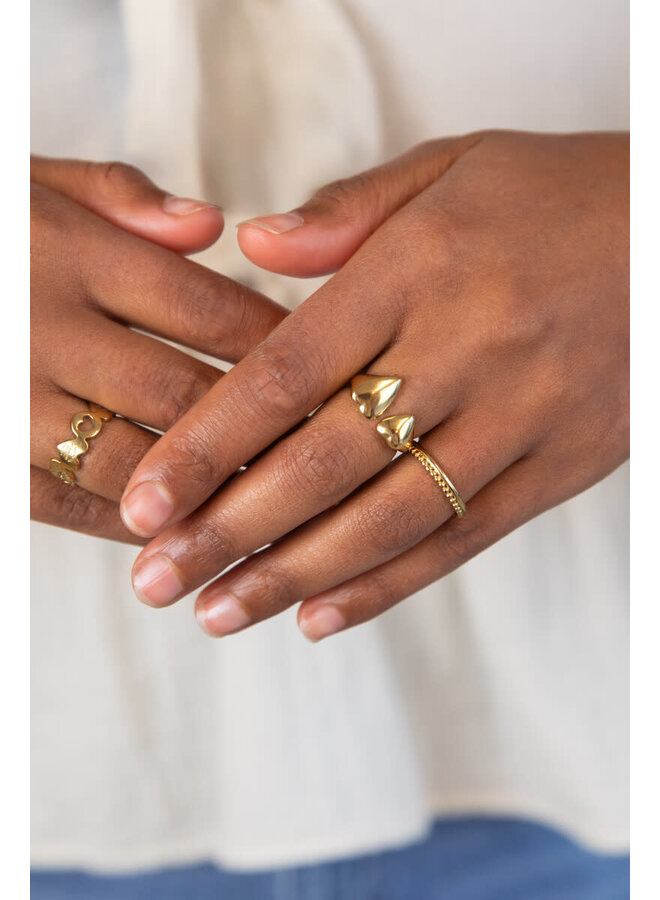 Bold Ring met Twee Hartjes Goud