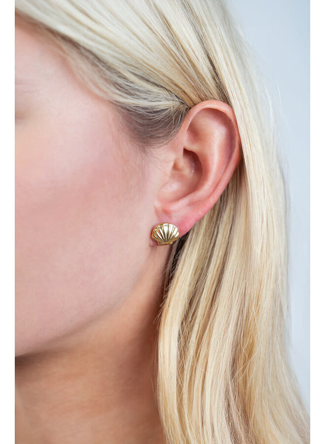 Studs met Medium Schelp Zilver