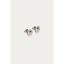 Studs Zon & Gezicht Zilver