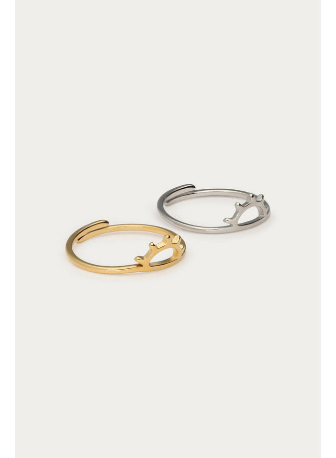 Forever Connected Ring met Zon Detail Zilver & Goud