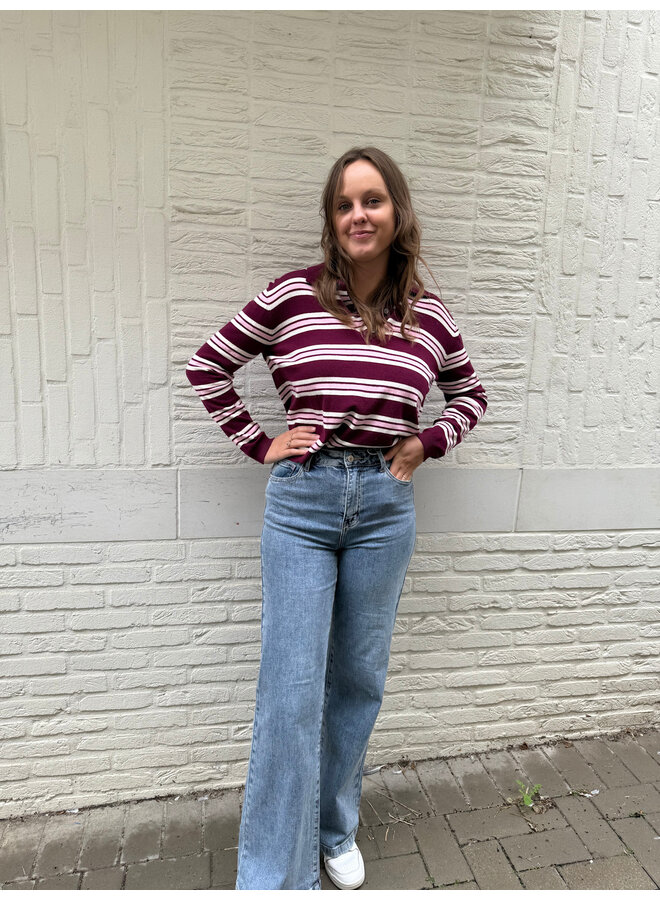 Gabriel Full Length Wide Jeans JD378-P