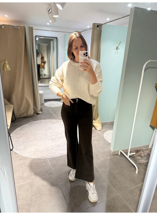 Elenette Petite Wide Flared Jeans Brown