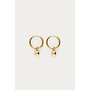 Minimalistische Oorringen met Bolletje Goud