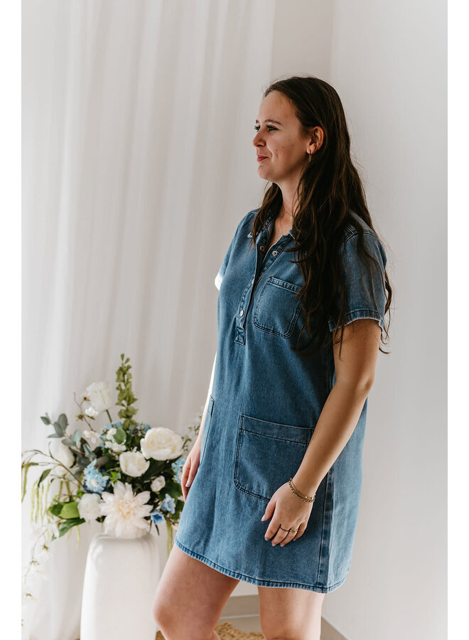 Ricci Denim Dress