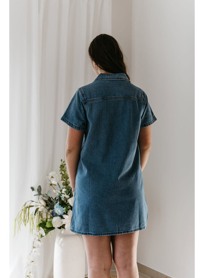 Ricci Denim Dress