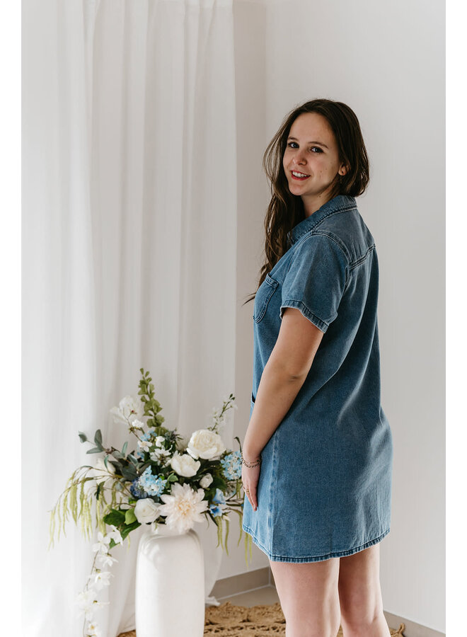 Ricci Denim Dress