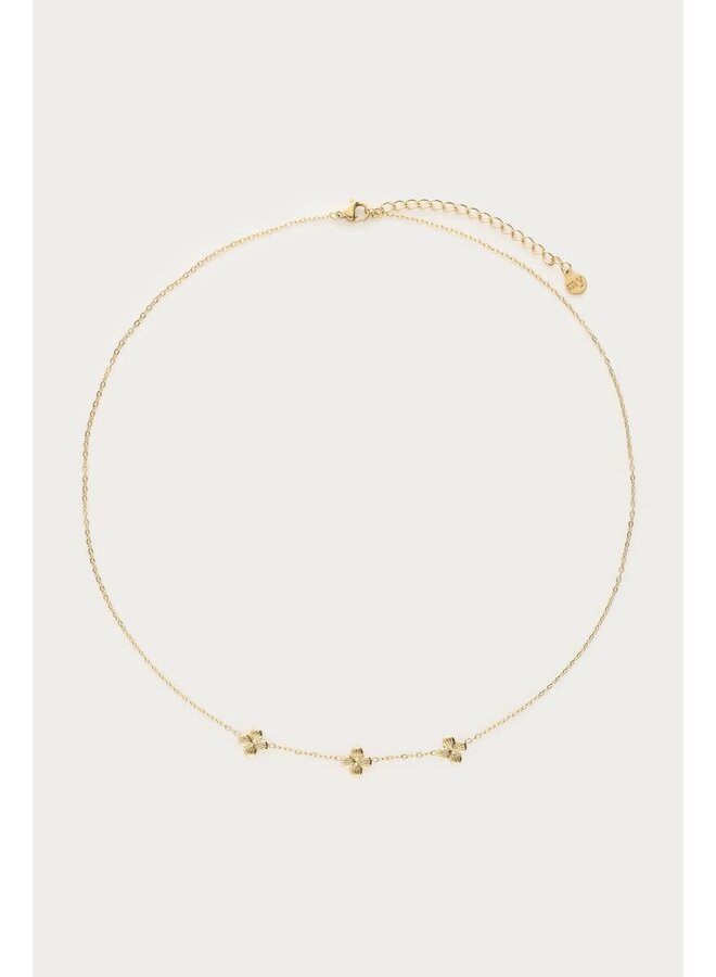 Botanical Ketting met Drie Klaver Bloemen Goud