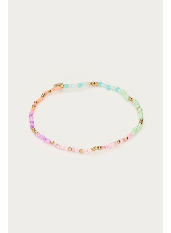 Botanical Elastieken Armband met Multikleur Kralen Goud