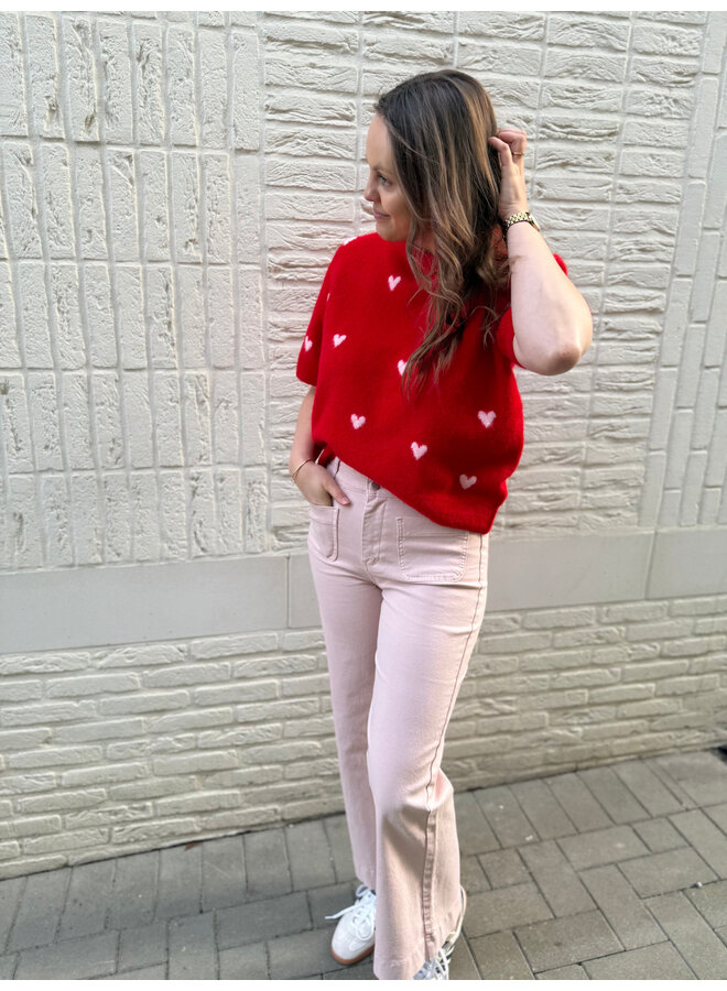 Elenette Petite Wide Flared Jeans Pink