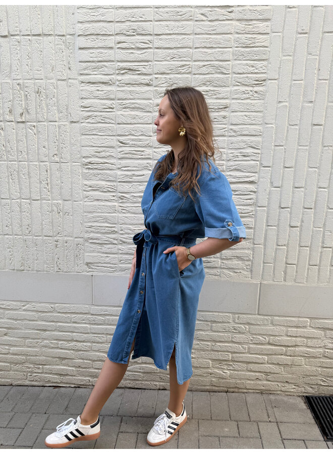 Molly Denim Dress