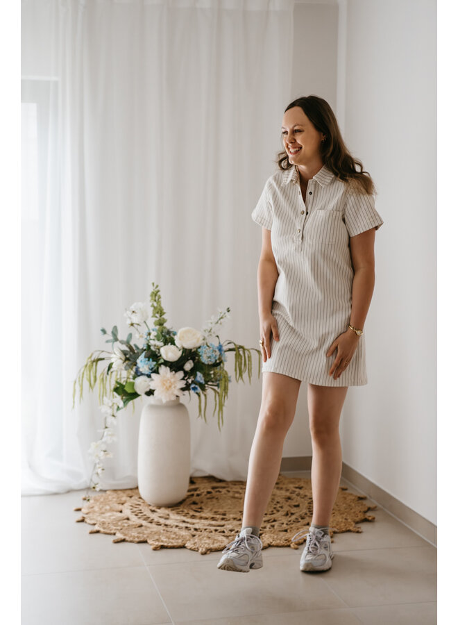 Rouane Striped Dress