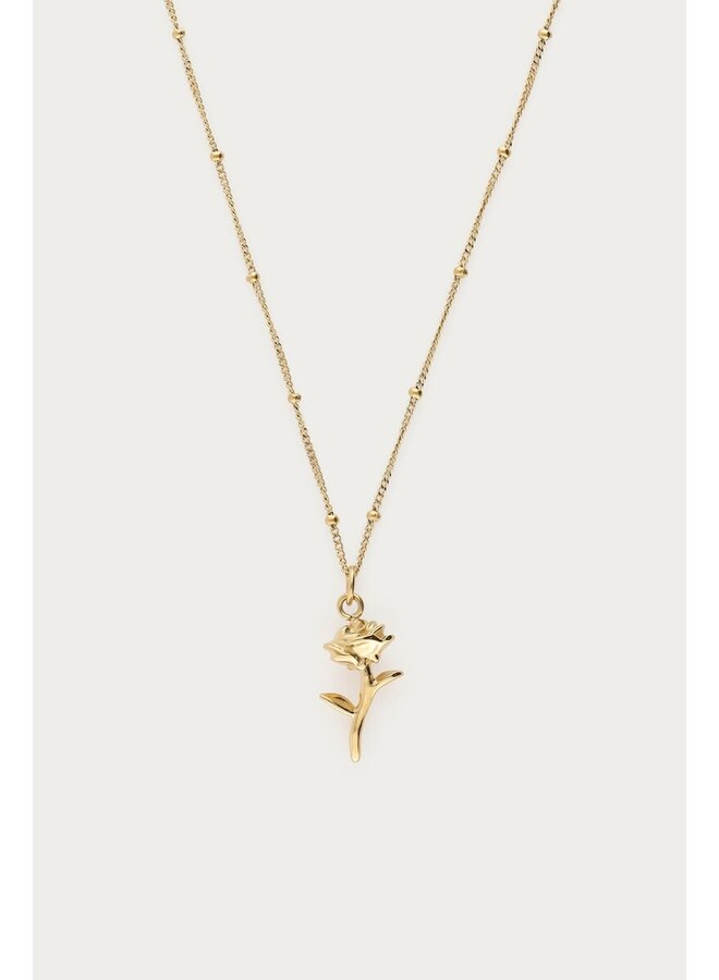 Vintage Ketting met Dots en Roos Goud