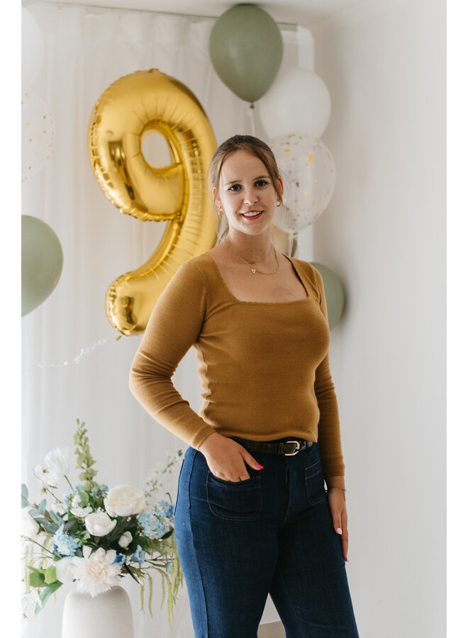 Vicky Basic Top Camel