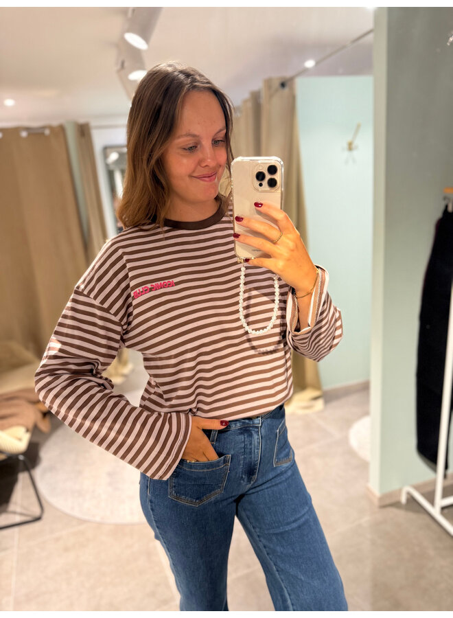 Zara Striped Long Sleeve T-Shirt Brown