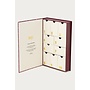 Adventskalender Luxe 10 Days of Treasures Zilver