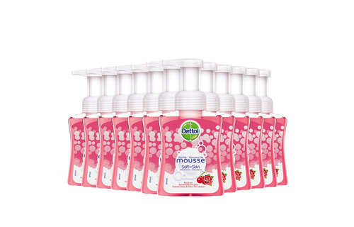 Dettol Handzeep Zachte Mousse - Roos & Kersenbloesem - 250ml x12