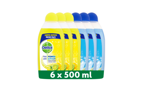 Dettol - 3L Allesreiniger Power & Fresh - Citrus 1x500ml - Katoenfris 1x500ml - Voordeelverpakking