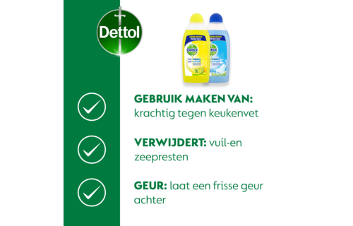 Dettol - 3L Allesreiniger Power & Fresh - Citrus 1x500ml - Katoenfris 1x500ml - Voordeelverpakking