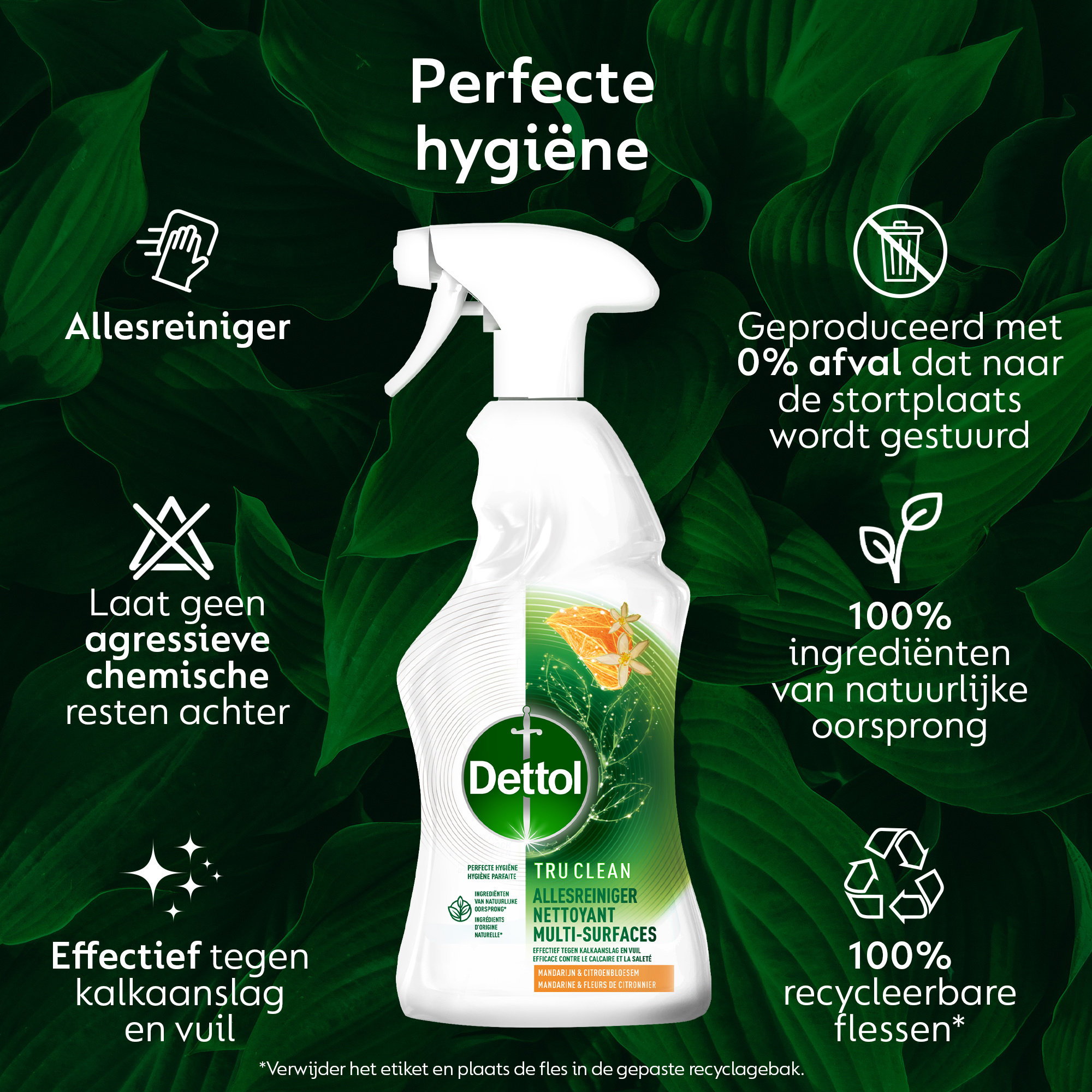 Dettol Allesreiniger Spray - Mandarijn & Citroenbloesem - 100% ingrediënten van natuurlijke oorsprong - 500 ml x6