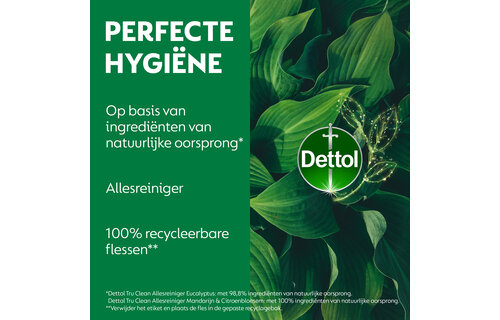 Dettol Allesreiniger Spray - Mandarijn & Citroenbloesem - 100% ingrediënten van natuurlijke oorsprong - 500 ml x6