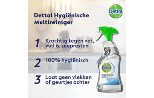 Dettol Allesreiniger Spray Power & Fresh - Multireiniger - 500ml x2