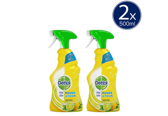 Dettol Allesreiniger Spray Power Fresh - Citrus - 500ml x2