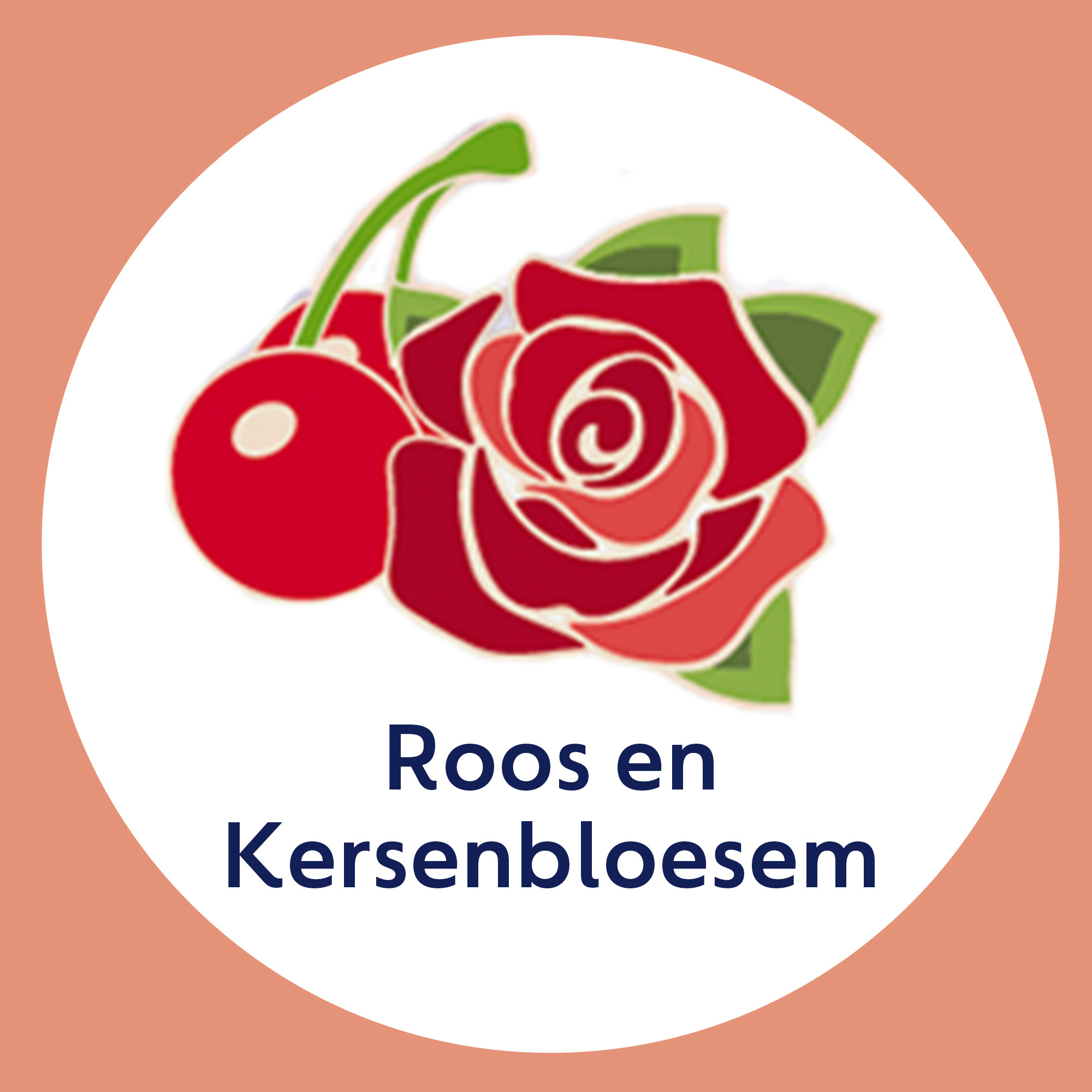 Dettol Handzeep Zachte Mousse - Roos & Kersenbloesem - 250ml x6