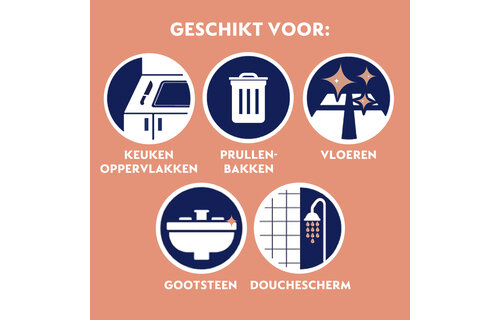 Dettol Allesreiniger Spray Power & Fresh - OriginalÂ - 500ml x12