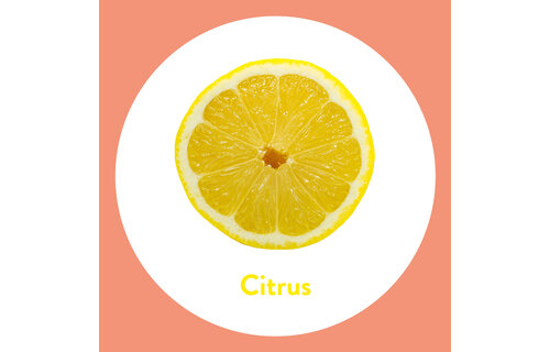 Dettol Handzeep - Citrus - 250ml x4