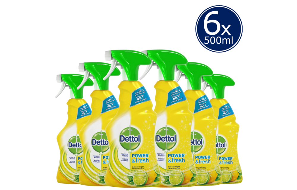 Allesreiniger Spray Power Fresh - Citrus - 500ml x6