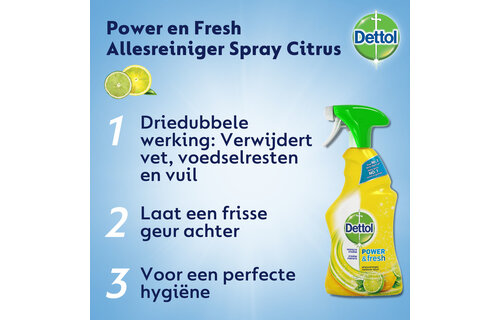 Dettol Allesreiniger Spray Power & Fresh - Citrus - 500ml x6