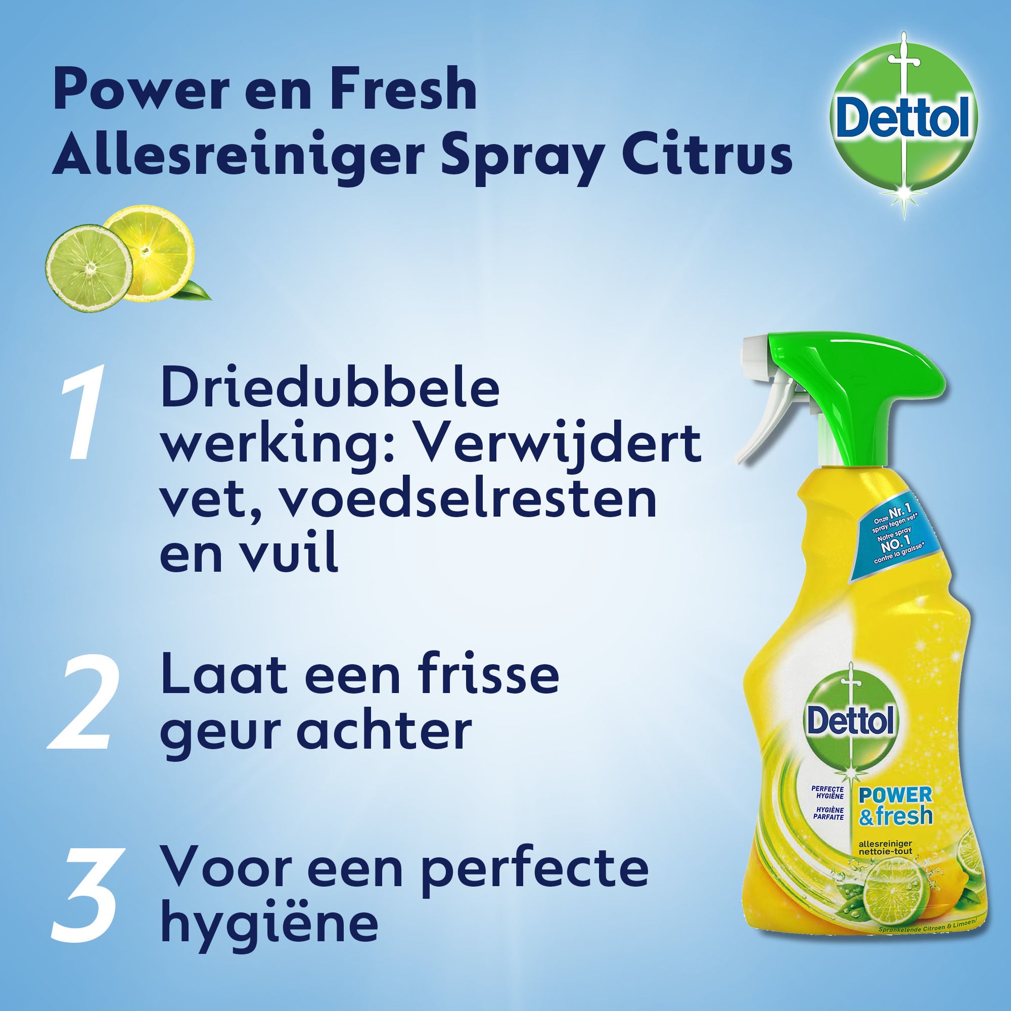 Allesreiniger Spray Power Fresh - Citrus - 500ml x6