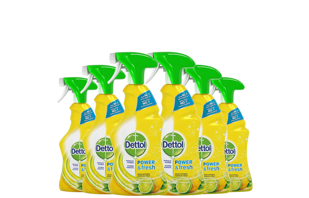 Allesreiniger Spray Power Fresh - Citrus - 500ml x6