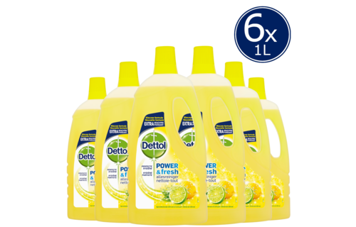 Dettol Allesreiniger Power & Fresh - Citrus - 1L x6