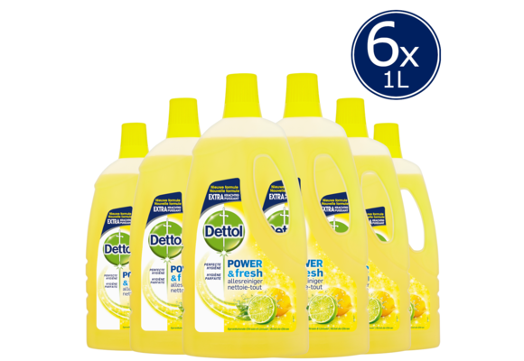 Dettol Allesreiniger Power &amp; Fresh - Citrus - 1L x6