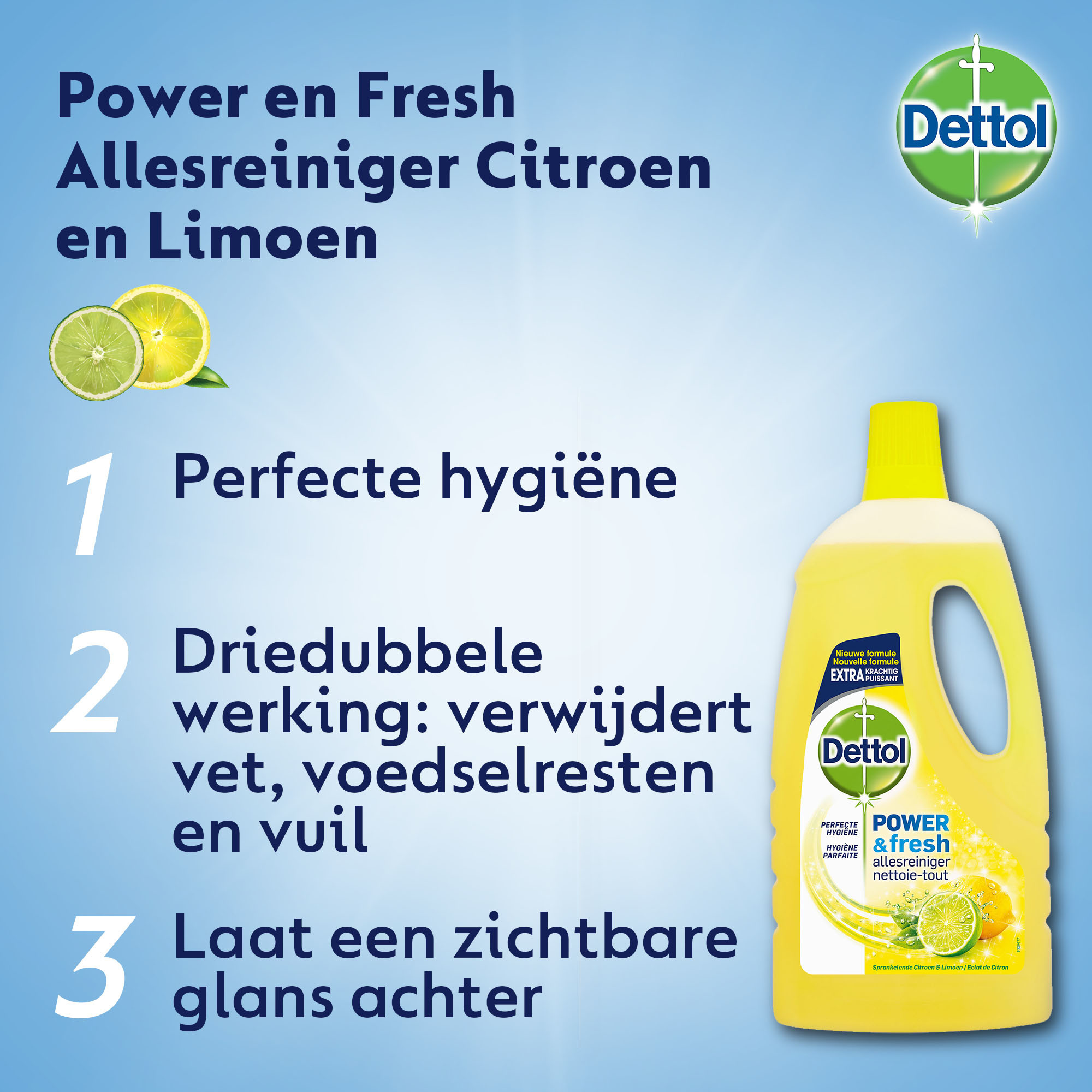 Dettol Allesreiniger Power & Fresh - Citrus - 1L x6