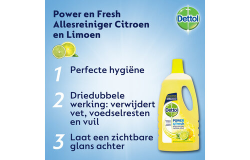 Dettol Allesreiniger Power & Fresh - Citrus - 1L x4