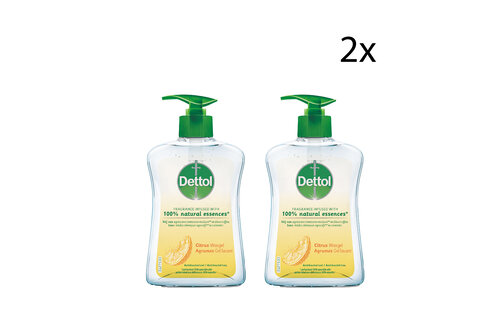 Dettol Handzeep - Citrus - 250ml x2