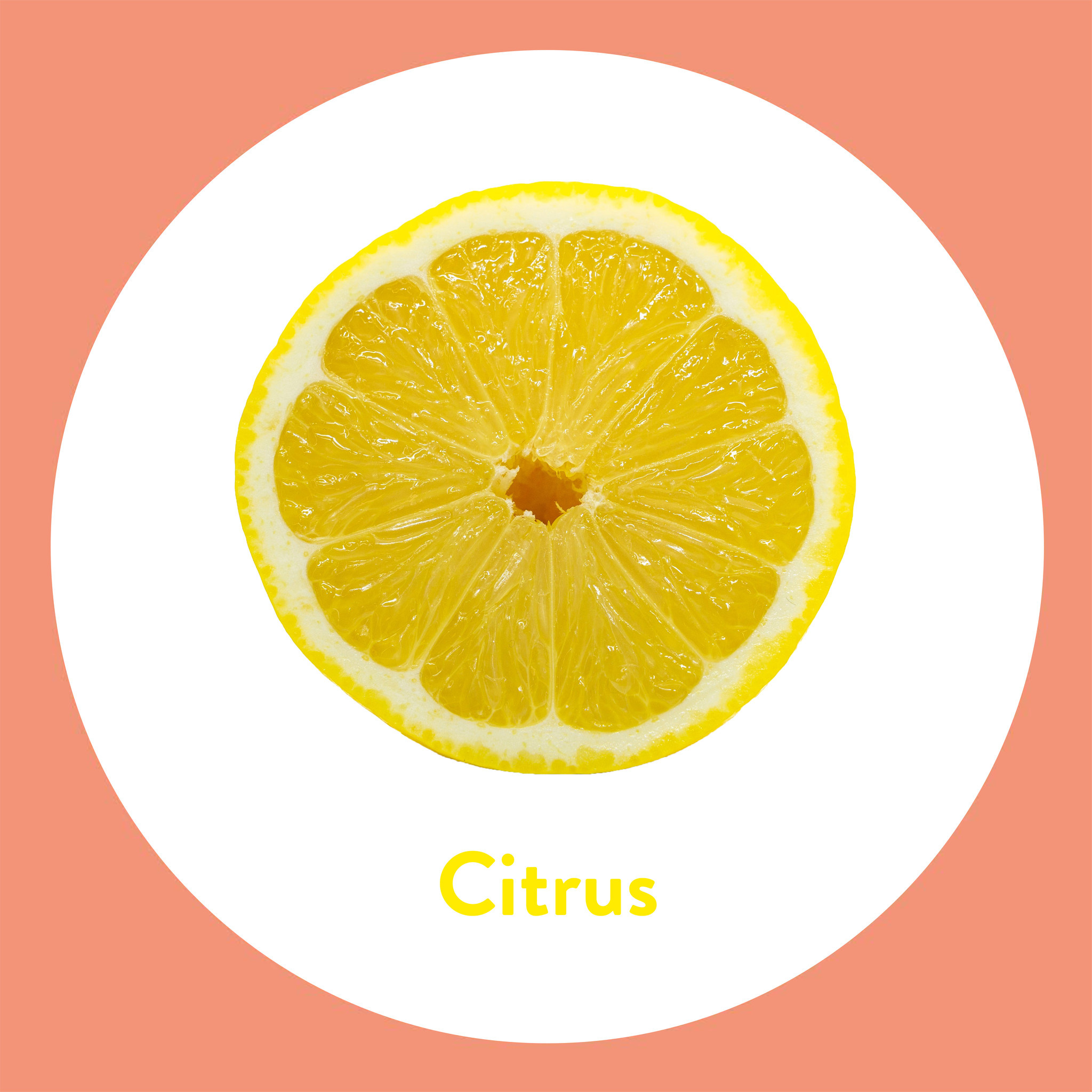 Dettol Handzeep - Citrus - 250ml x2