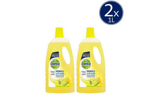 Dettol Allesreiniger Power & Fresh - Citrus - 1L x2