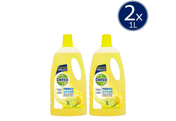 Allesreiniger Citrus 1L - 2 Stuks - Voordeelverpakking