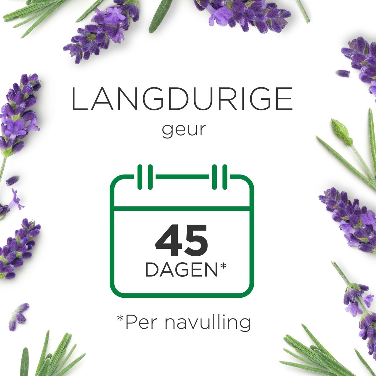 Air Wick geurstokjes essential lavendel & essential mist kit sleep (lavendel)