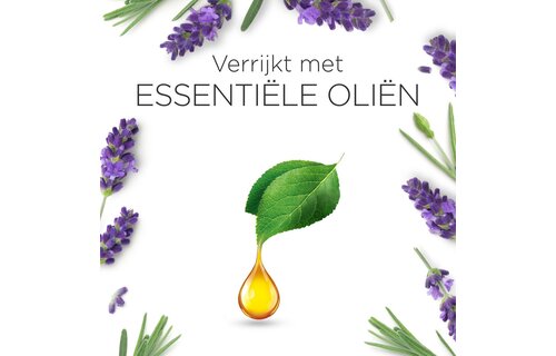 Air Wick geurstokjes essential lavendel & essential mist kit sleep (lavendel)