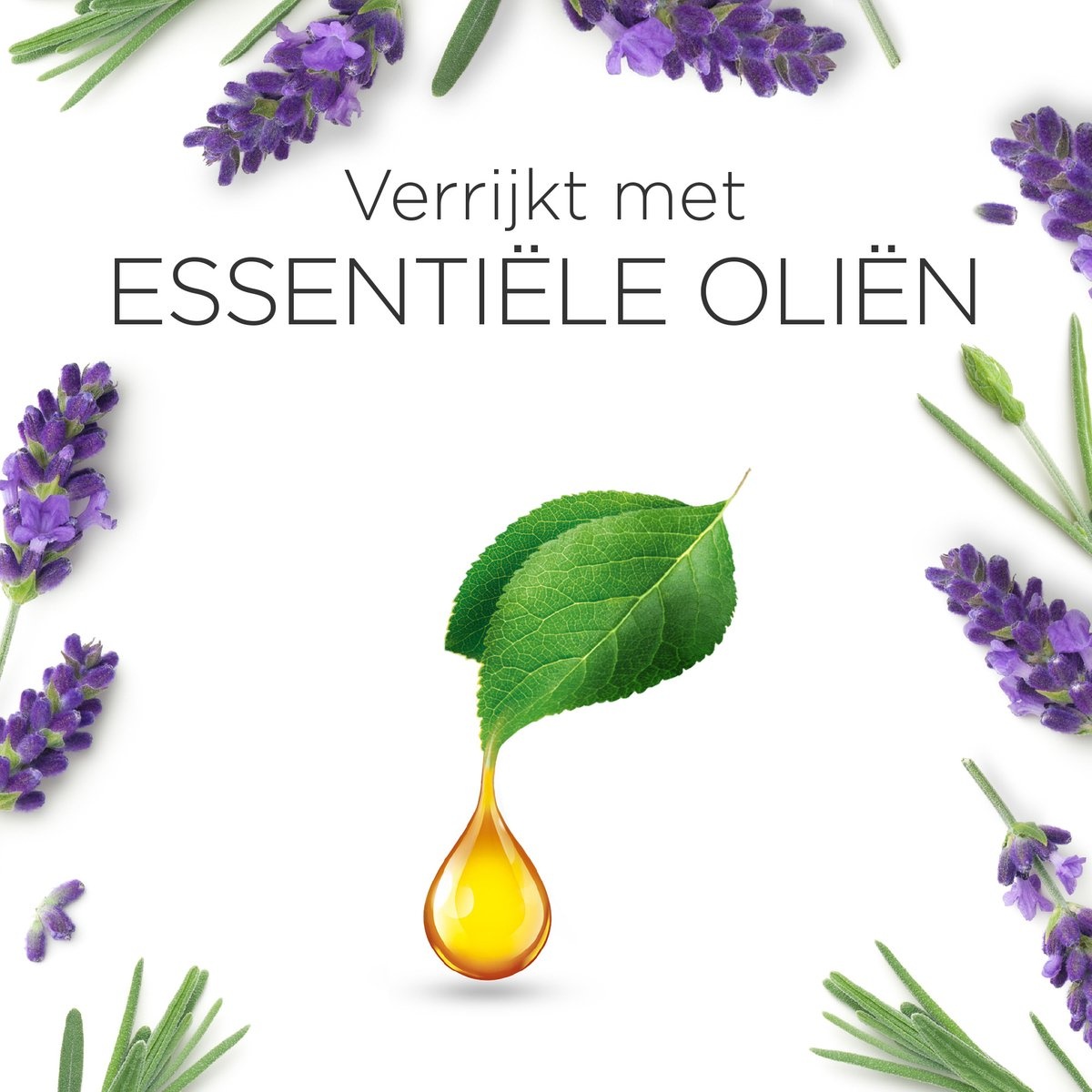 Air Wick geurstokjes essential lavendel & essential mist kit sleep (lavendel)