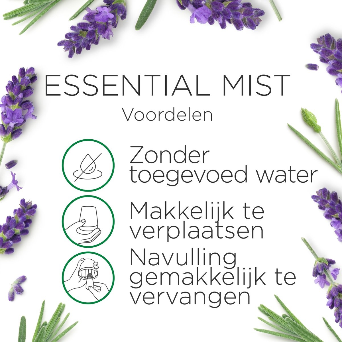 Air Wick geurstokjes essential lavendel & essential mist kit sleep (lavendel)