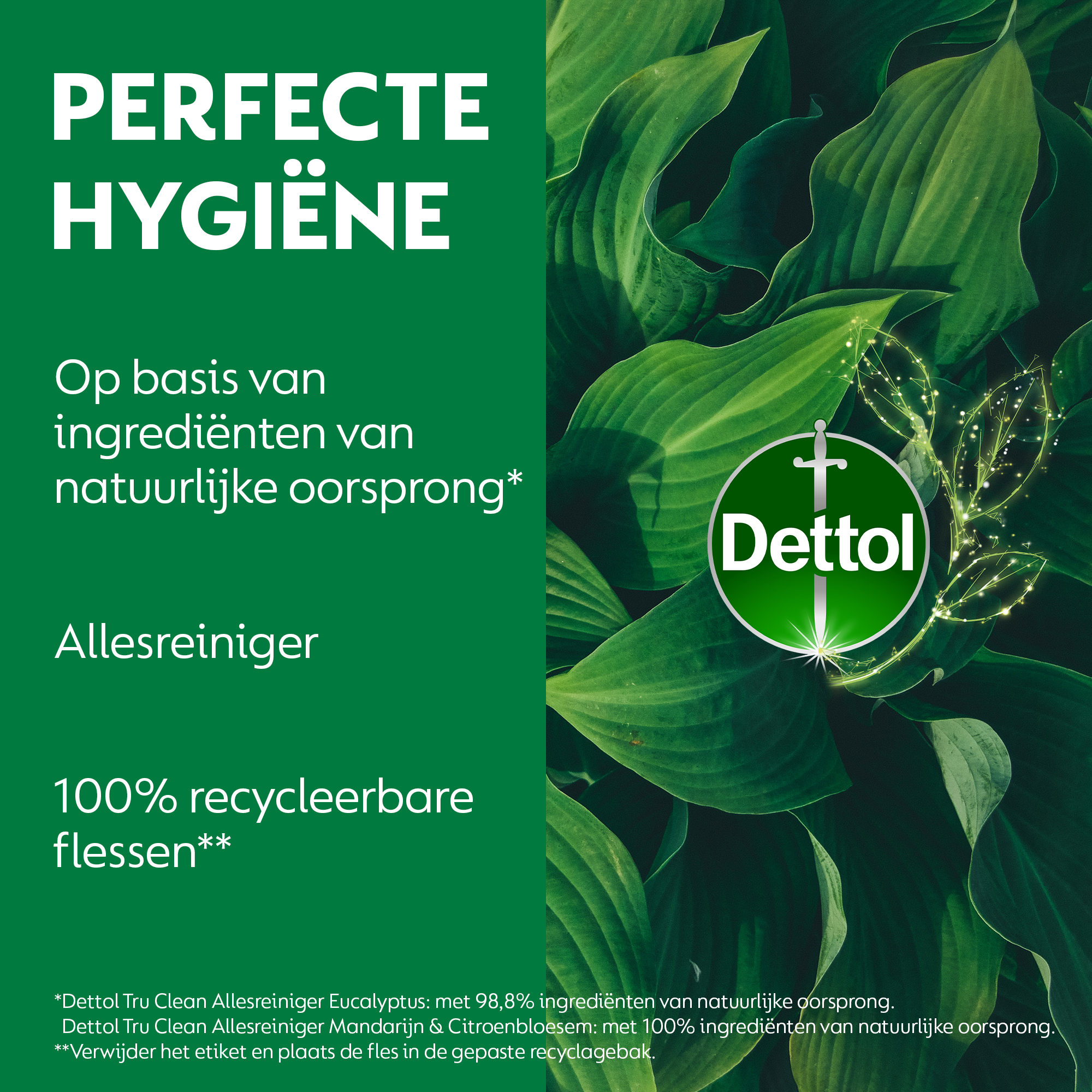 Dettol - 1L Allesreiniger Spray Tru Clean - Mandarijn & Citroenbloesem 1x500 ml Eucalyptus 1x500ml - Voordeelverpakking