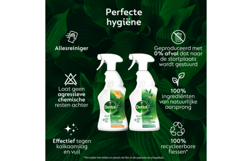Dettol - 1L Allesreiniger Spray Tru Clean - Mandarijn & Citroenbloesem 1x500 ml Eucalyptus 1x500ml - Voordeelverpakking