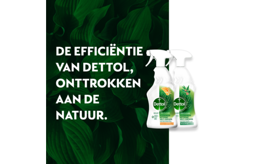 Dettol - 1L Allesreiniger Spray Tru Clean - Mandarijn & Citroenbloesem 1x500 ml Eucalyptus 1x500ml - Voordeelverpakking